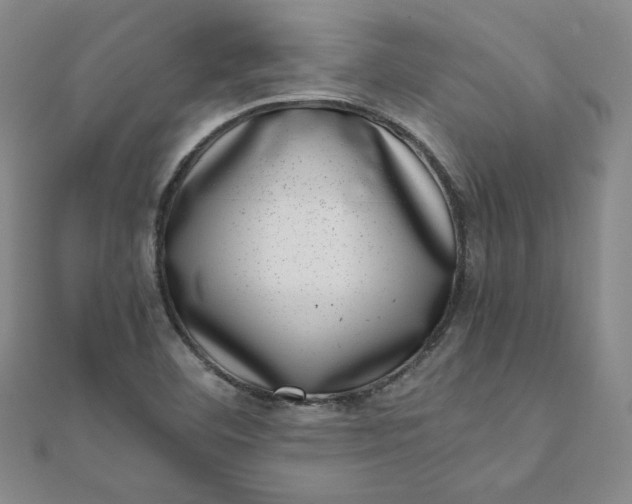 X0000111661460200907311128