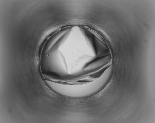 X0000111661461200907311128