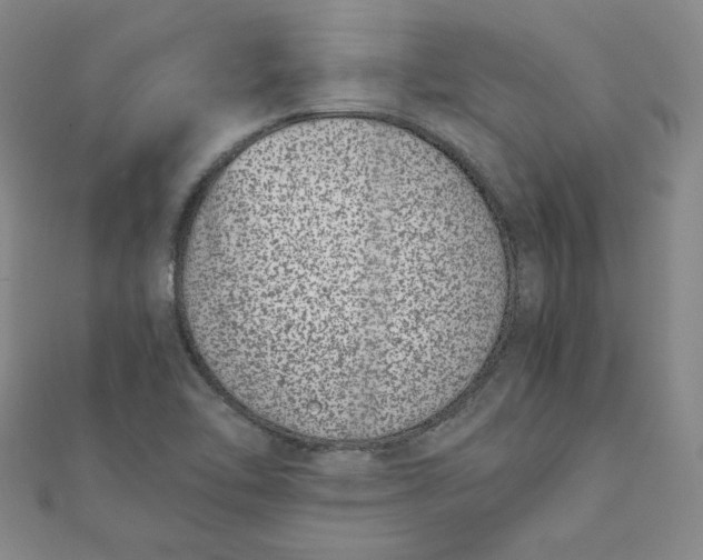 X0000111661462200907311128