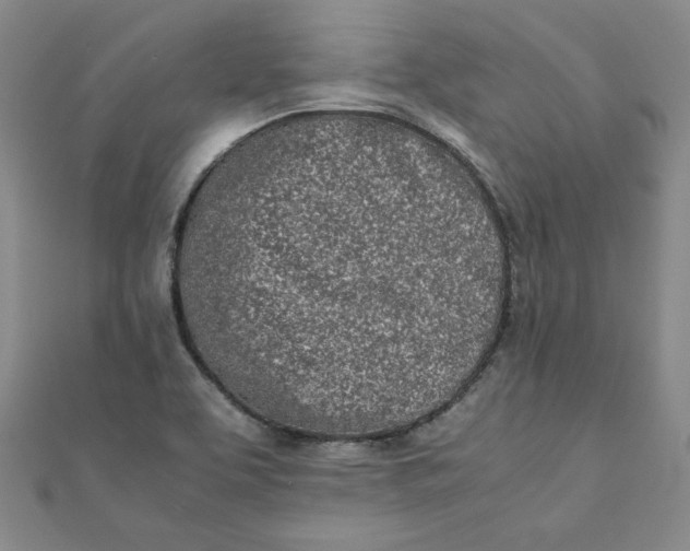 X0000111661463200907311128