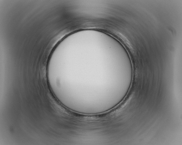 X0000111661465200907311128