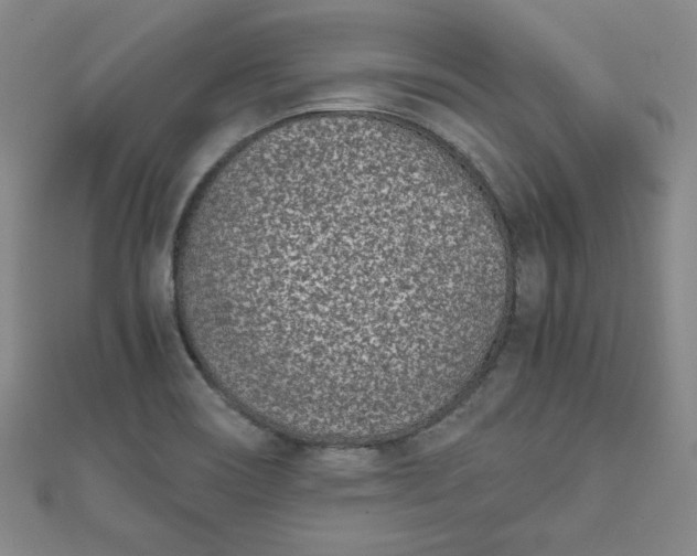 X0000111661466200907311128