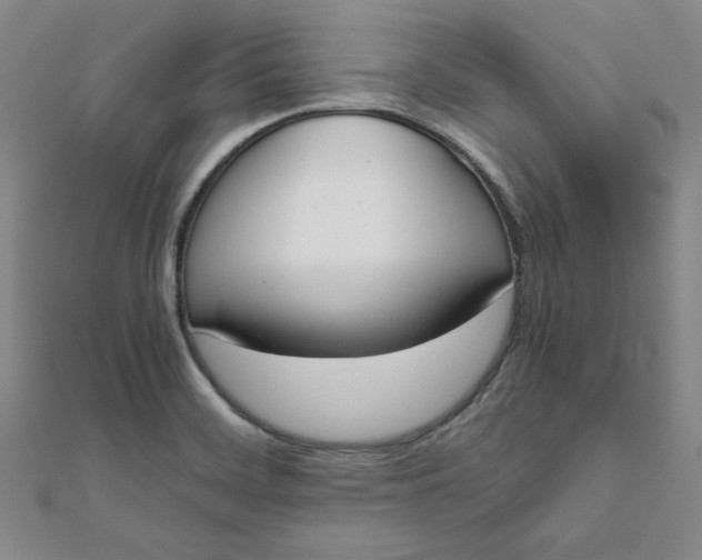 X0000111661468200907311128