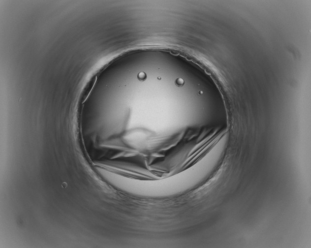 X0000111661469200907311128