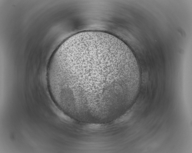 X0000111661470200907311128