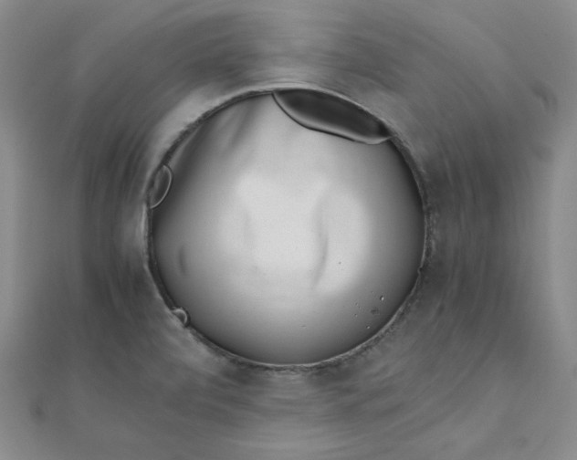 X0000111661472200907311128