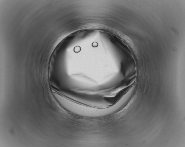 X0000111661473200907311128