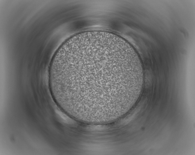 X0000111661474200907311128