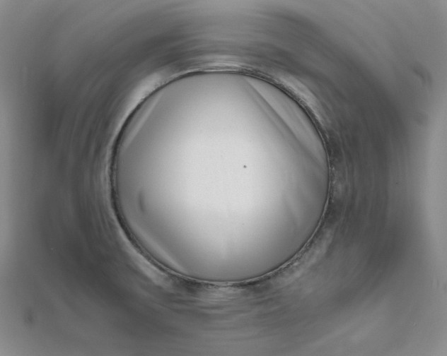 X0000111661475200907311128