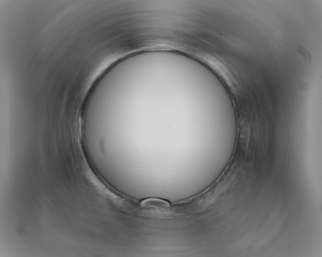 X0000111661476200907311128