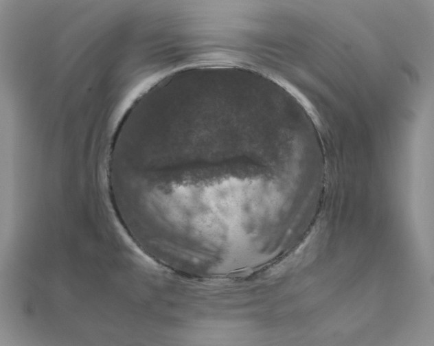 X0000111661477200907311128