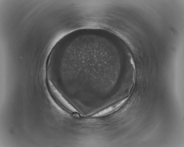 X0000111661479200907311128