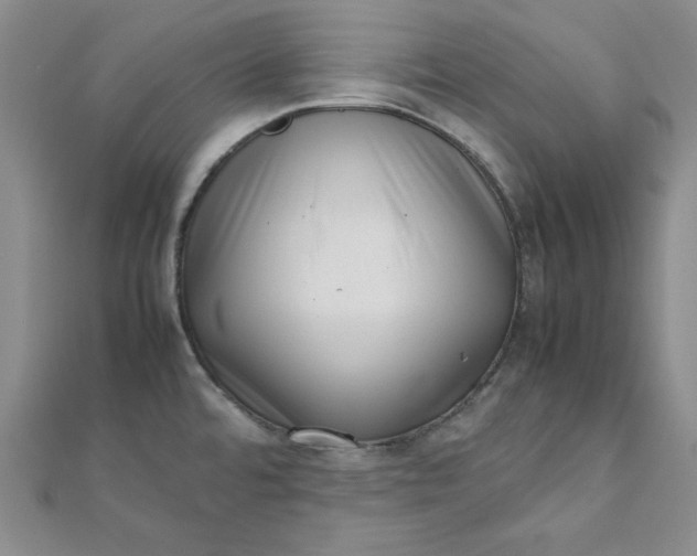 X0000111661480200907311128