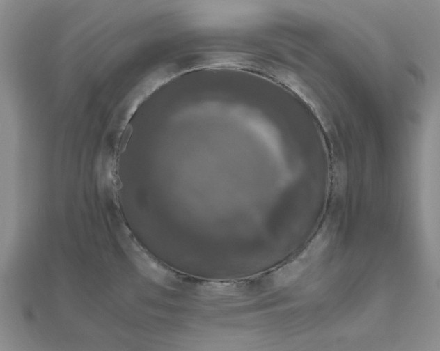 X0000111661481200907311127