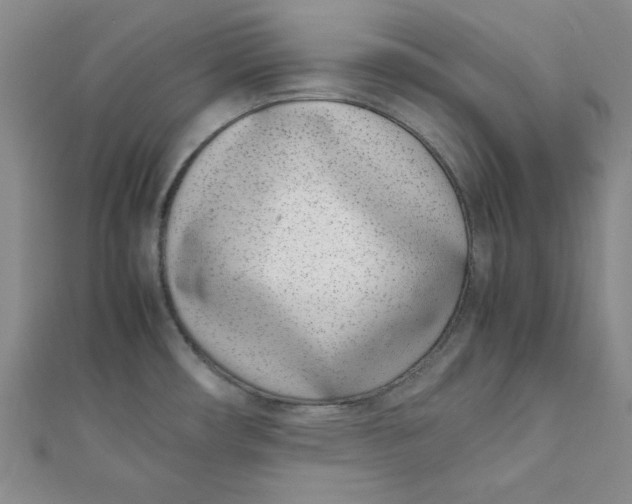 X0000111661482200907311127