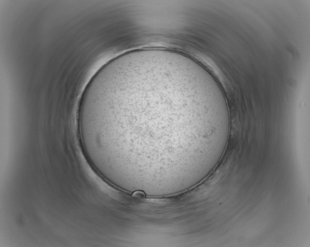 X0000111661483200907311127