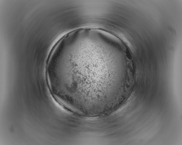 X0000111661484200907311127