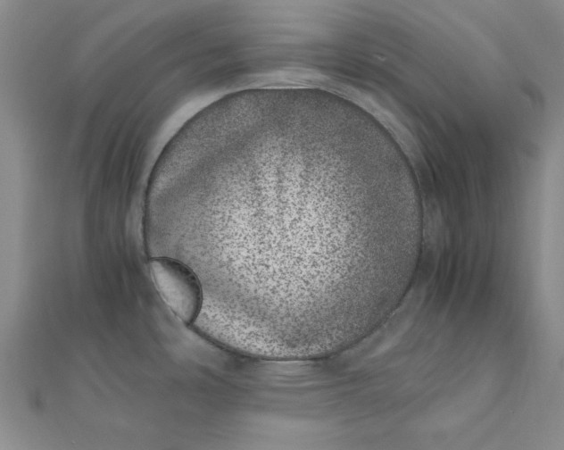 X0000111661486200907311127