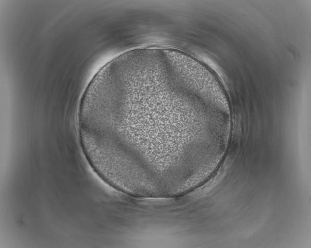 X0000111661487200907311127