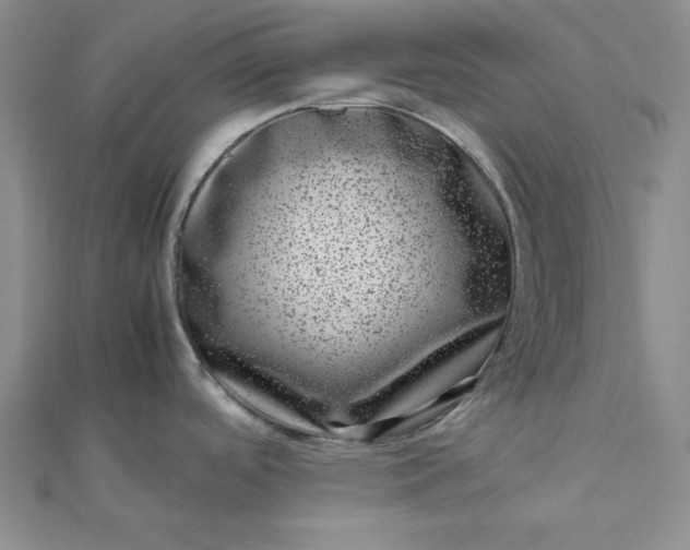 X0000111661488200907311127