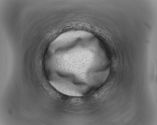 X0000111661489200907311127