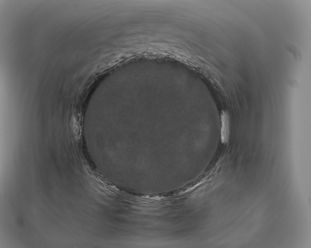 X0000111661491200907311127