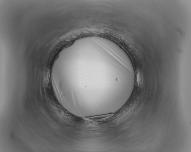 X0000111661492200907311127