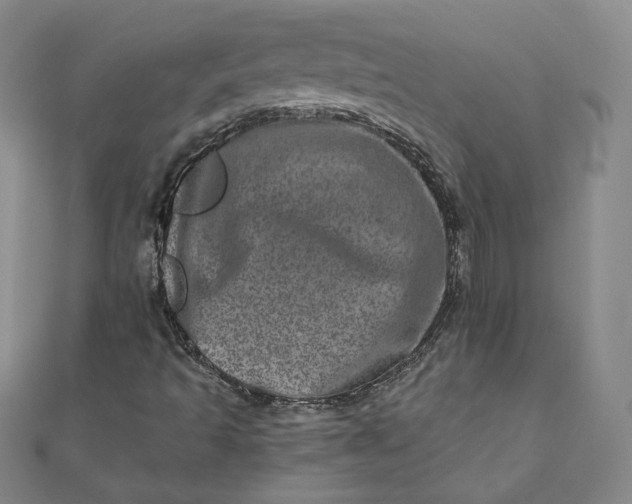 X0000111661493200907311127