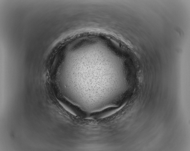 X0000111661495200907311127