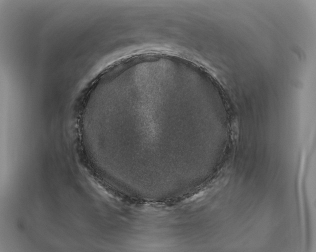 X0000111661496200907311127