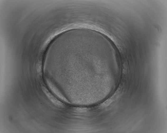 X0000111661499200907311127