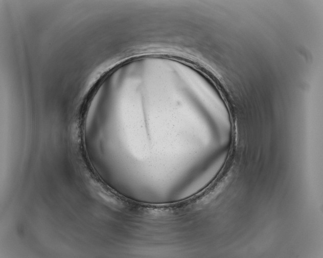 X0000111661501200907311127