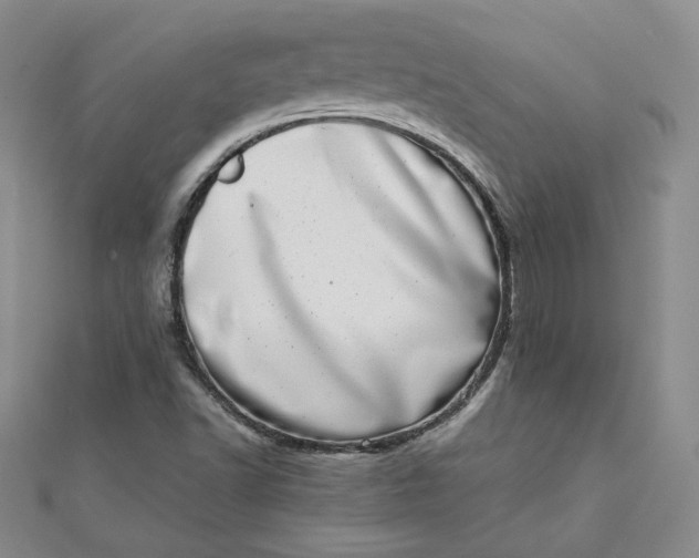 X0000111661502200907311127