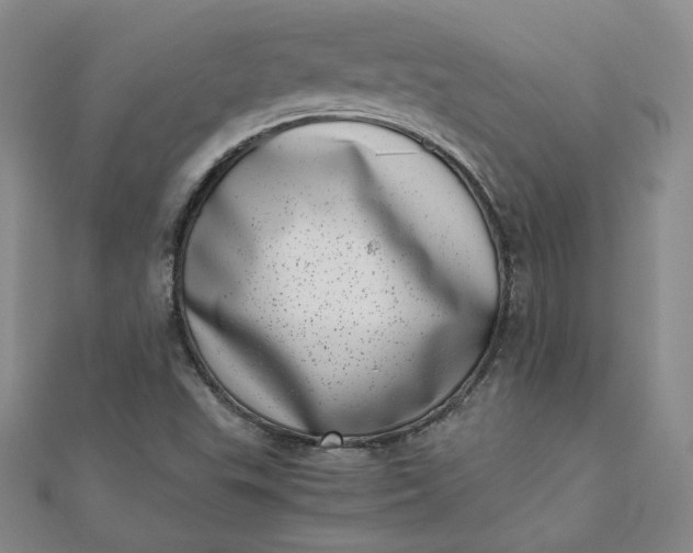 X0000111661503200907311127