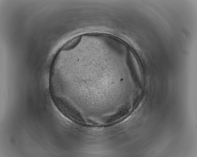 X0000111661504200907311127