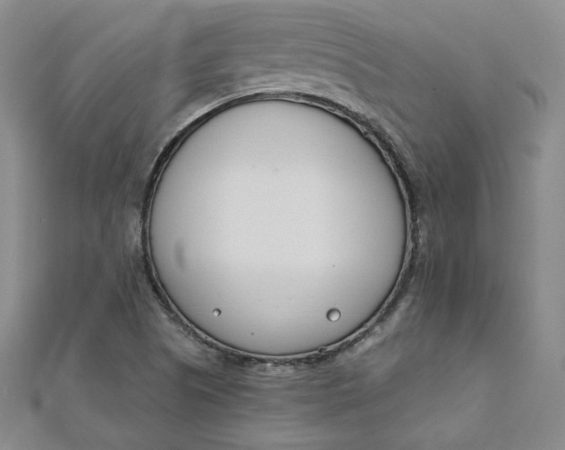 X0000111661505200907311127