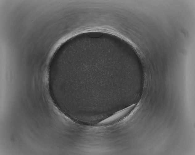 X0000111661506200907311127