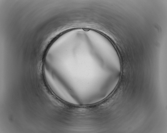 X0000111661507200907311127