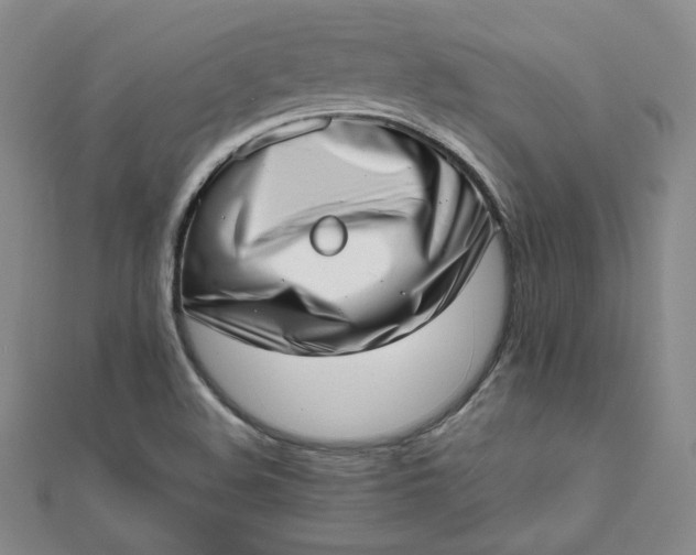 X0000111661508200907311127