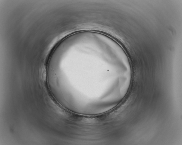 X0000111661509200907311127