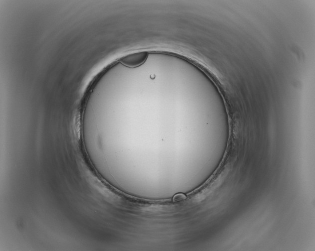 X0000111661510200907311127