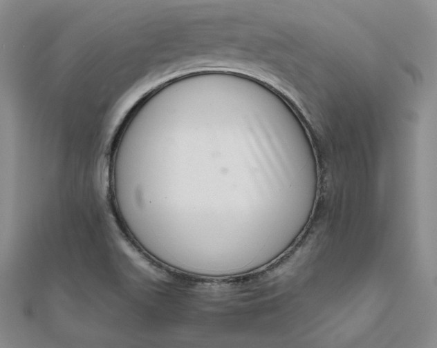 X0000111661511200907311127