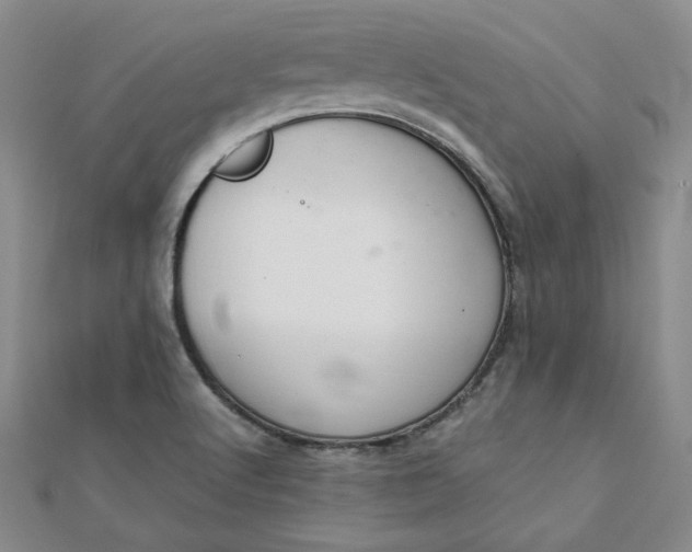 X0000111661512200907311127