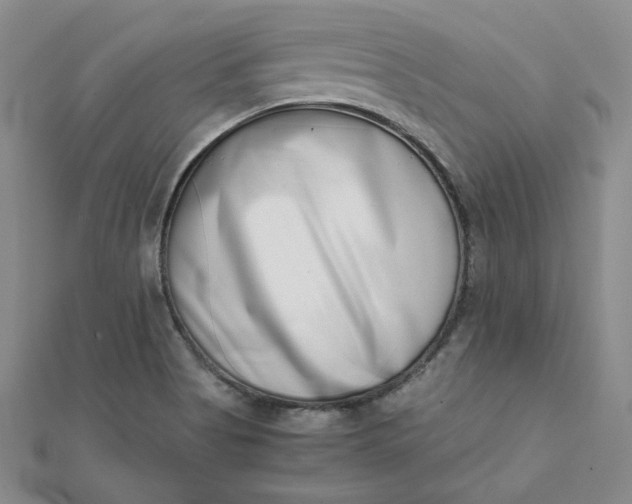 X0000111661513200907311127