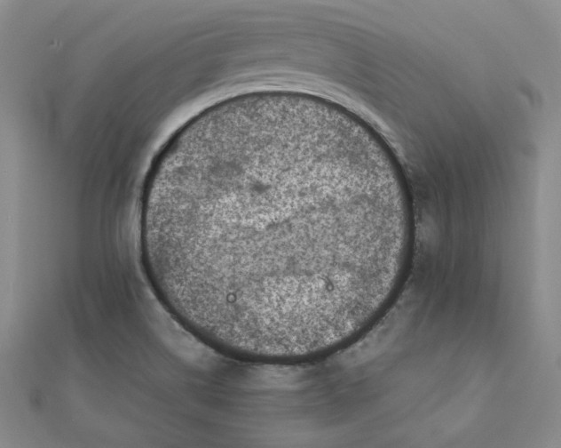 X0000111661514200907311127