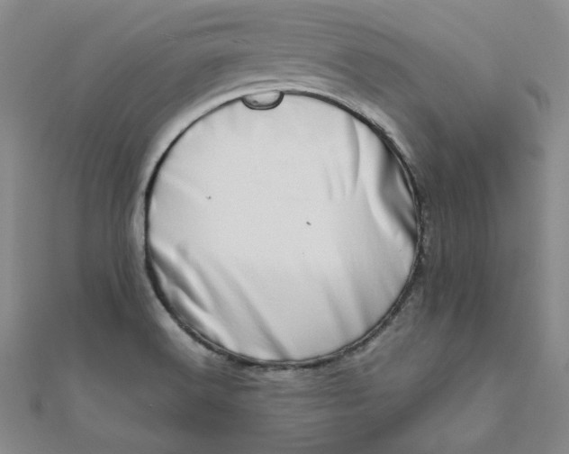 X0000111661516200907311127