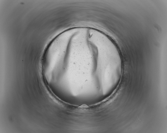 X0000111661517200907311127