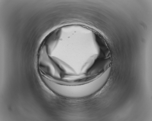 X0000111661518200907311127