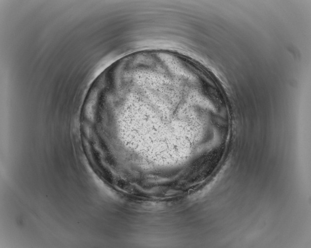 X0000111661521200907311127