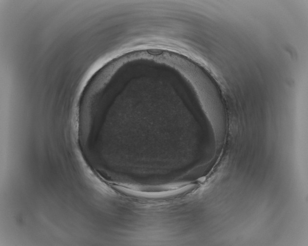 X0000111661522200907311127